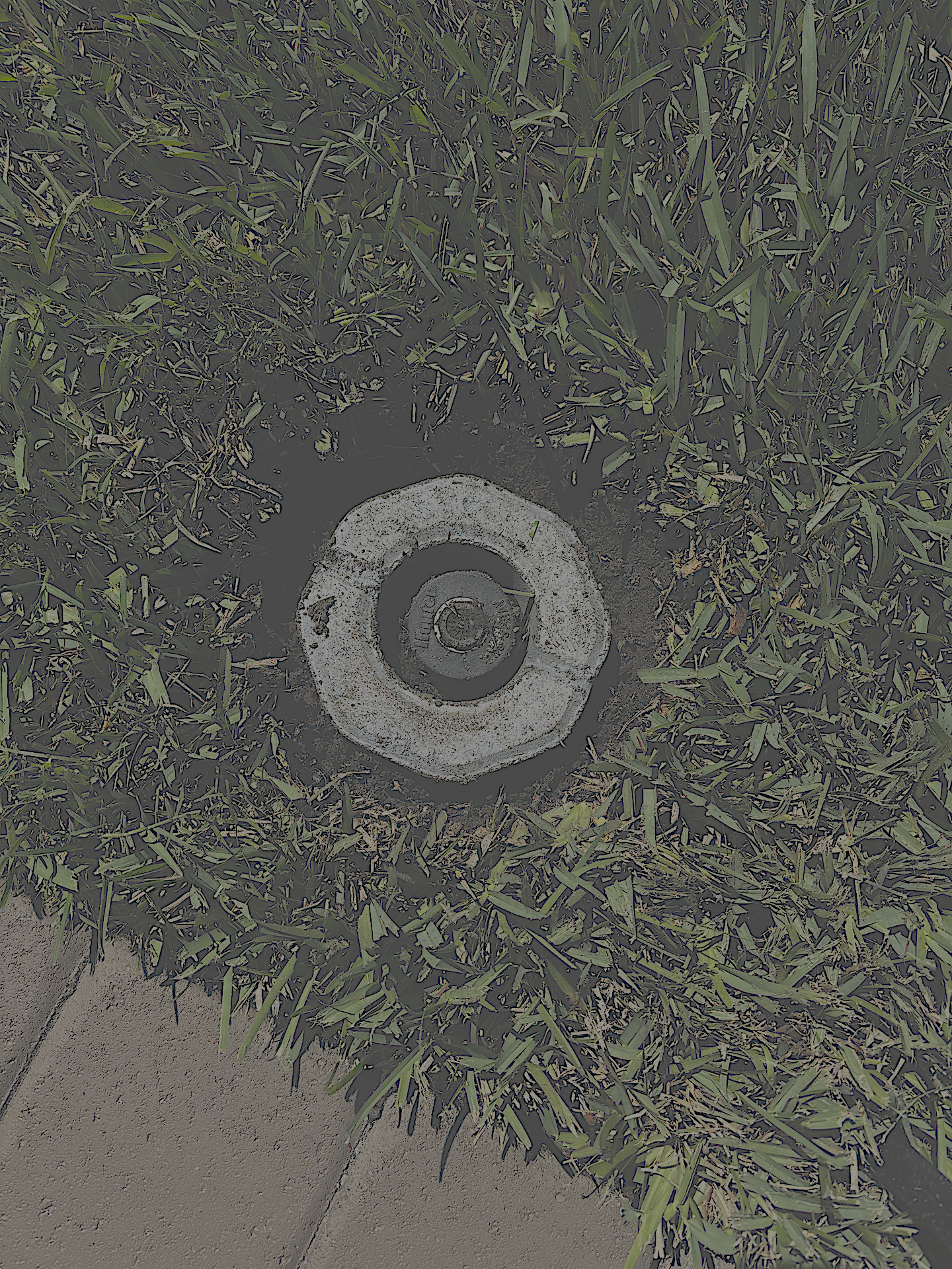 Sprinkler head: uncovered and area cleaned around it.