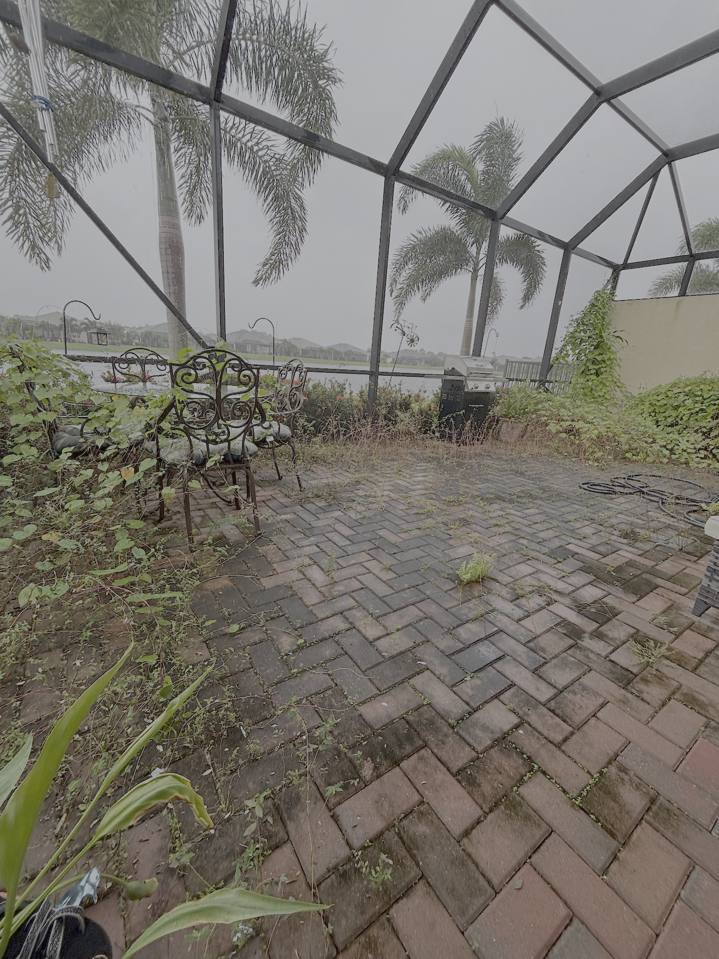 Lanai cleanup. Overgrown with algea; yet cleaned up nice!